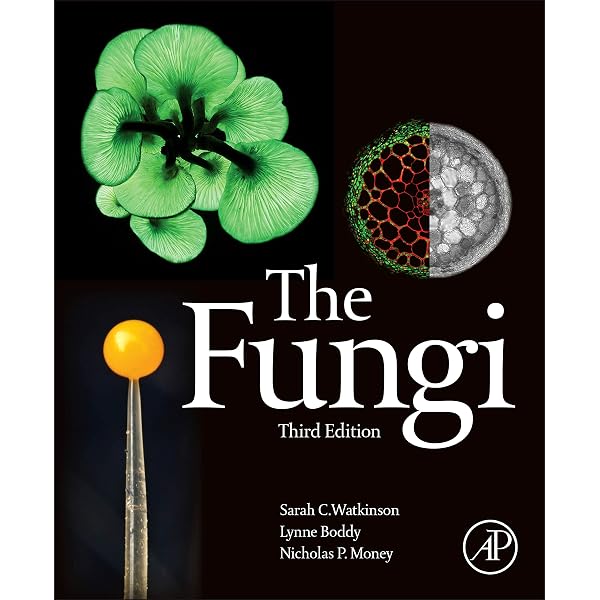 Amazon.com: Plant Physiology and Development: 9780197577240: Taiz